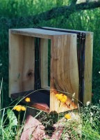 http://klaus-raechl.de/files/gimgs/th-6_kasten2.jpg