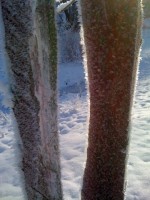 http://klaus-raechl.de/files/gimgs/th-7_IMG_0033.jpg