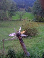 http://klaus-raechl.de/files/gimgs/th-7_IMG_0476.jpg