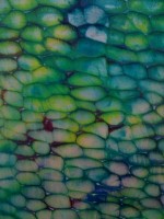 http://klaus-raechl.de/files/gimgs/th-7_IMG_0912.jpg