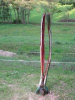 http://klaus-raechl.de/files/gimgs/th-7_baumbunt4.jpg