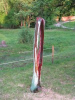 http://klaus-raechl.de/files/gimgs/th-7_baumbunt5.jpg
